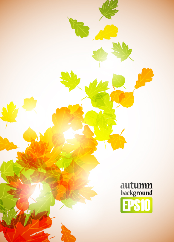 free vector Autumn leaves vector 2